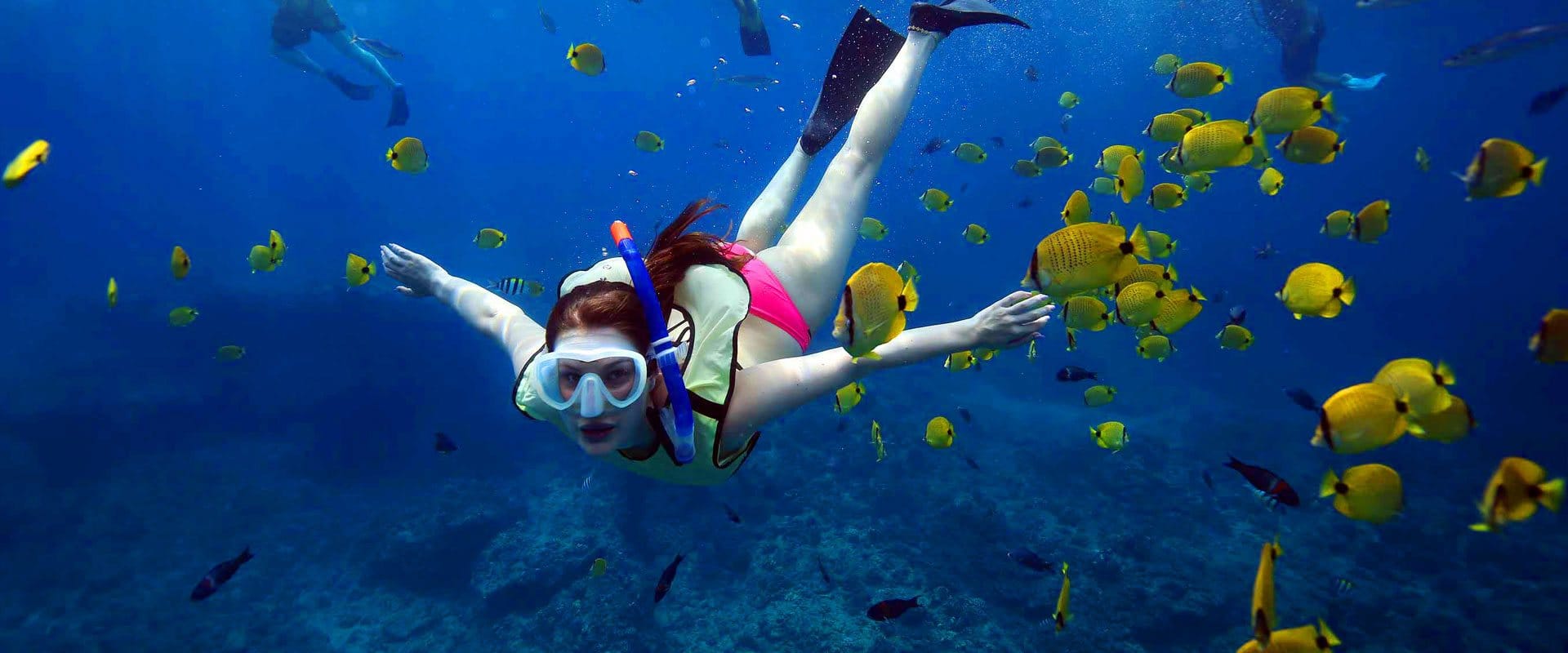 Snorkel Among Reef, Sea Turtles, and Tropical Fish