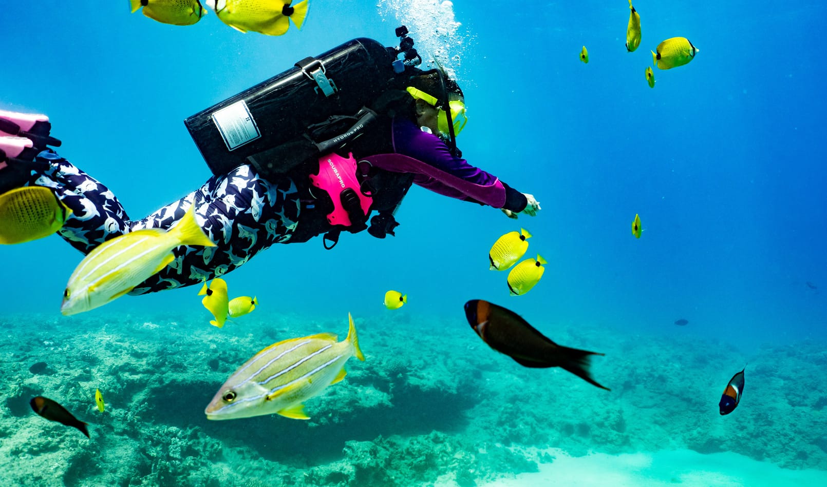 go scuba diving in oahu, hawaii